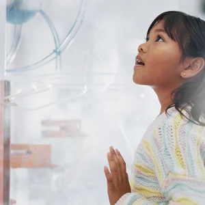 Aprendamos en base a proyectos: El ABP como metodología activa de aprendizaje